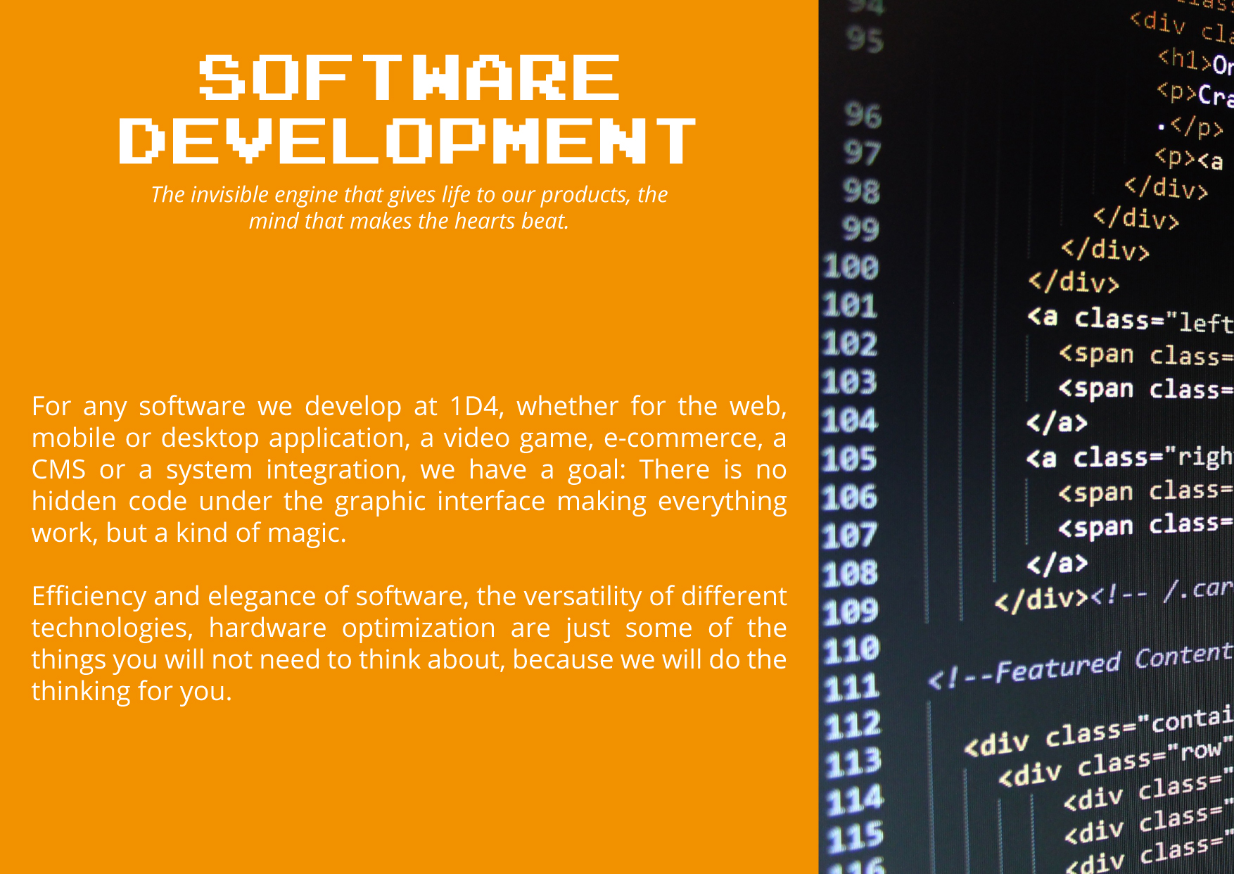 Software Development